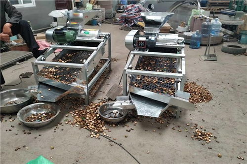 昌黎茶籽去皮機(jī)價(jià)格及設(shè)備銷售指南