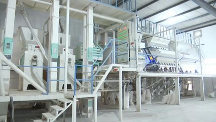 “碰網觸電”拓銷路，黃陂大米借力電商升級設備銷售